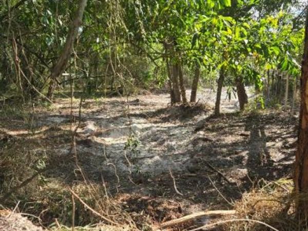17534 42nd Road N, The Acreage, FL 33470