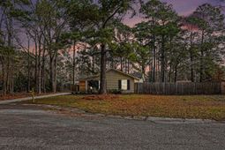 451 Longleaf Drive photo 4