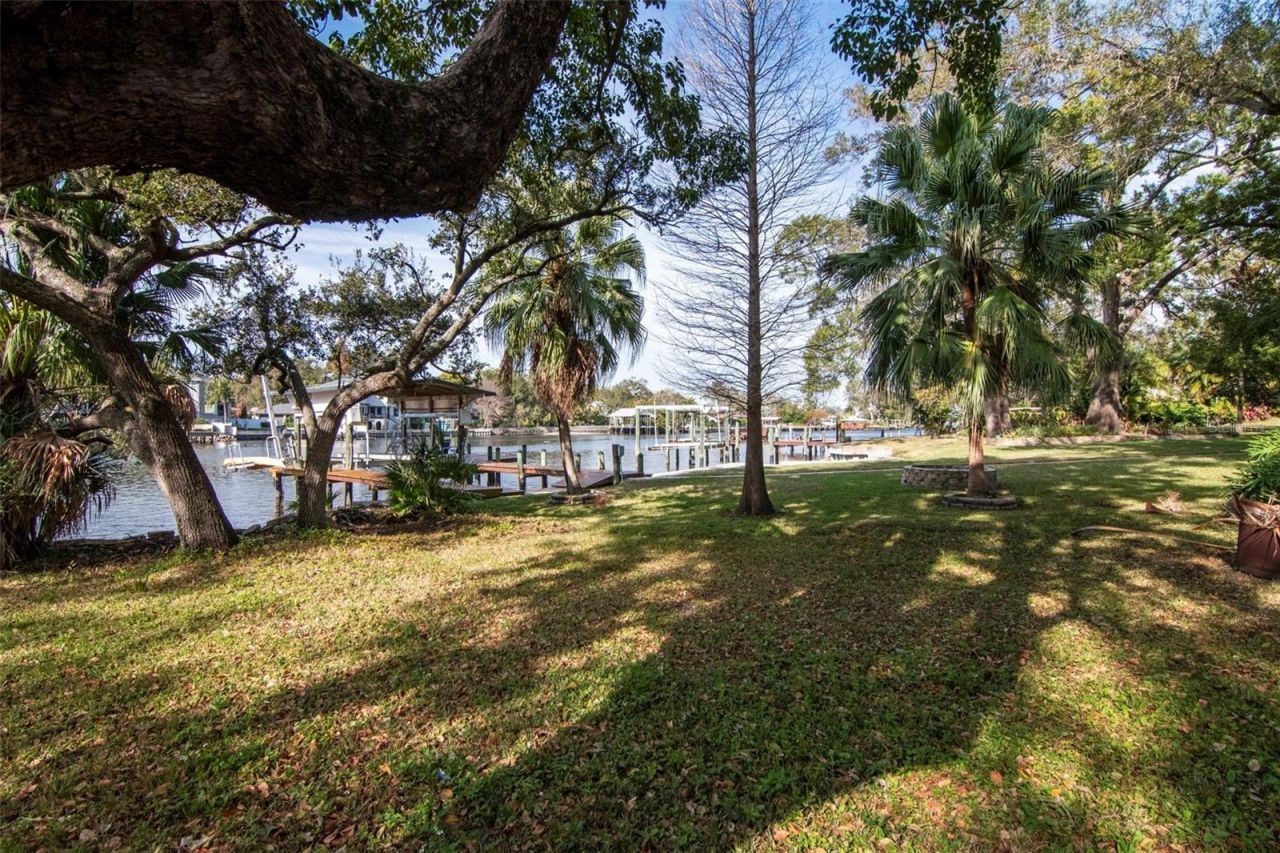 3306 N Perry Avenue, Tampa, FL 33603 Photo