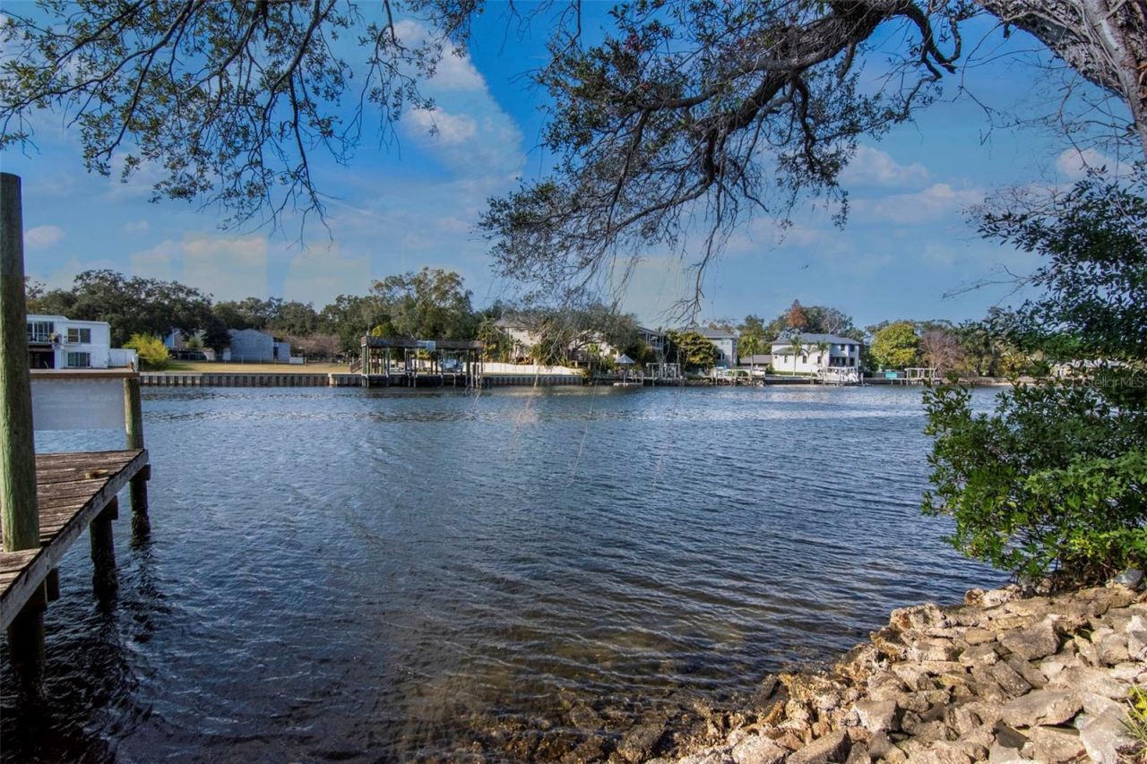 3306 N Perry Avenue, Tampa, FL 33603 Photo