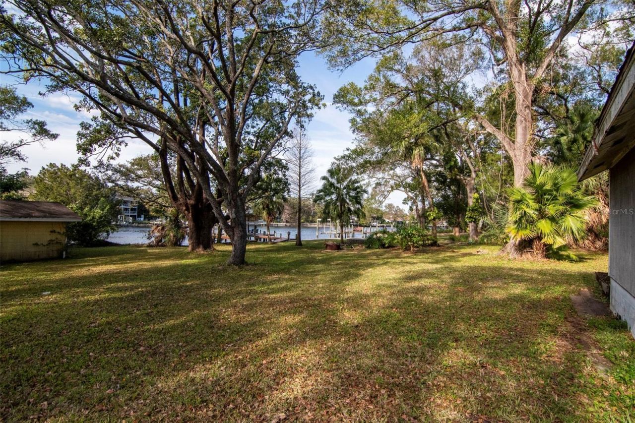 3306 N Perry Avenue, Tampa, FL 33603 Photo