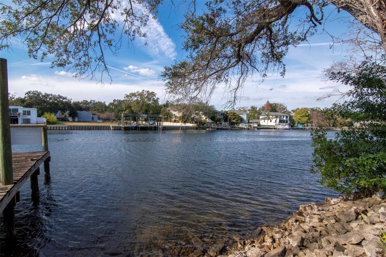 3306 N Perry Avenue, Tampa, FL 33603 Photo