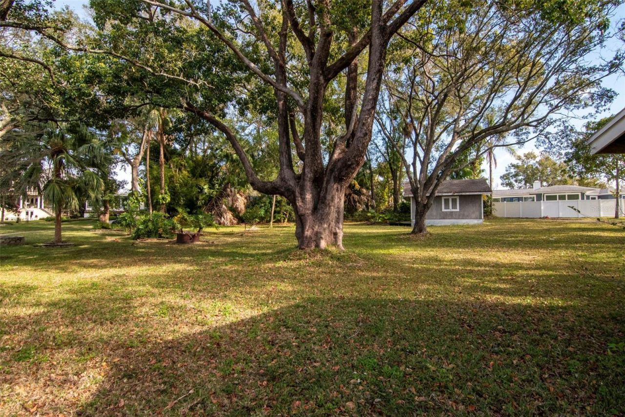 3306 N Perry Avenue, Tampa, FL 33603 Photo