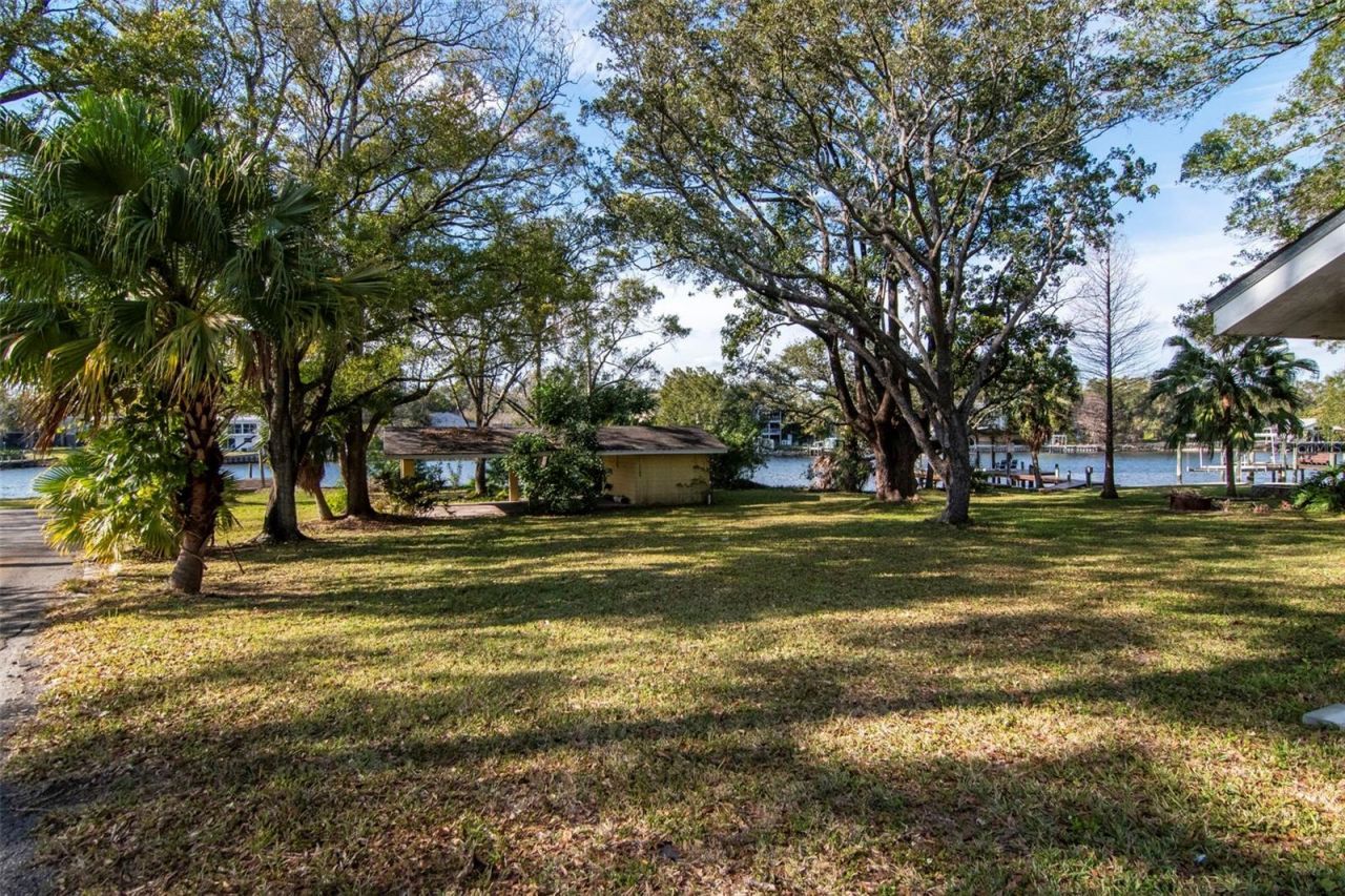3306 N Perry Avenue, Tampa, FL 33603 Photo