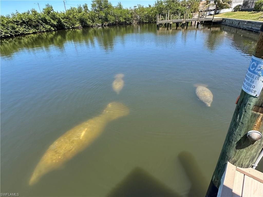 428 SW 39th Ave, Cape Coral, FL 33991 Photo