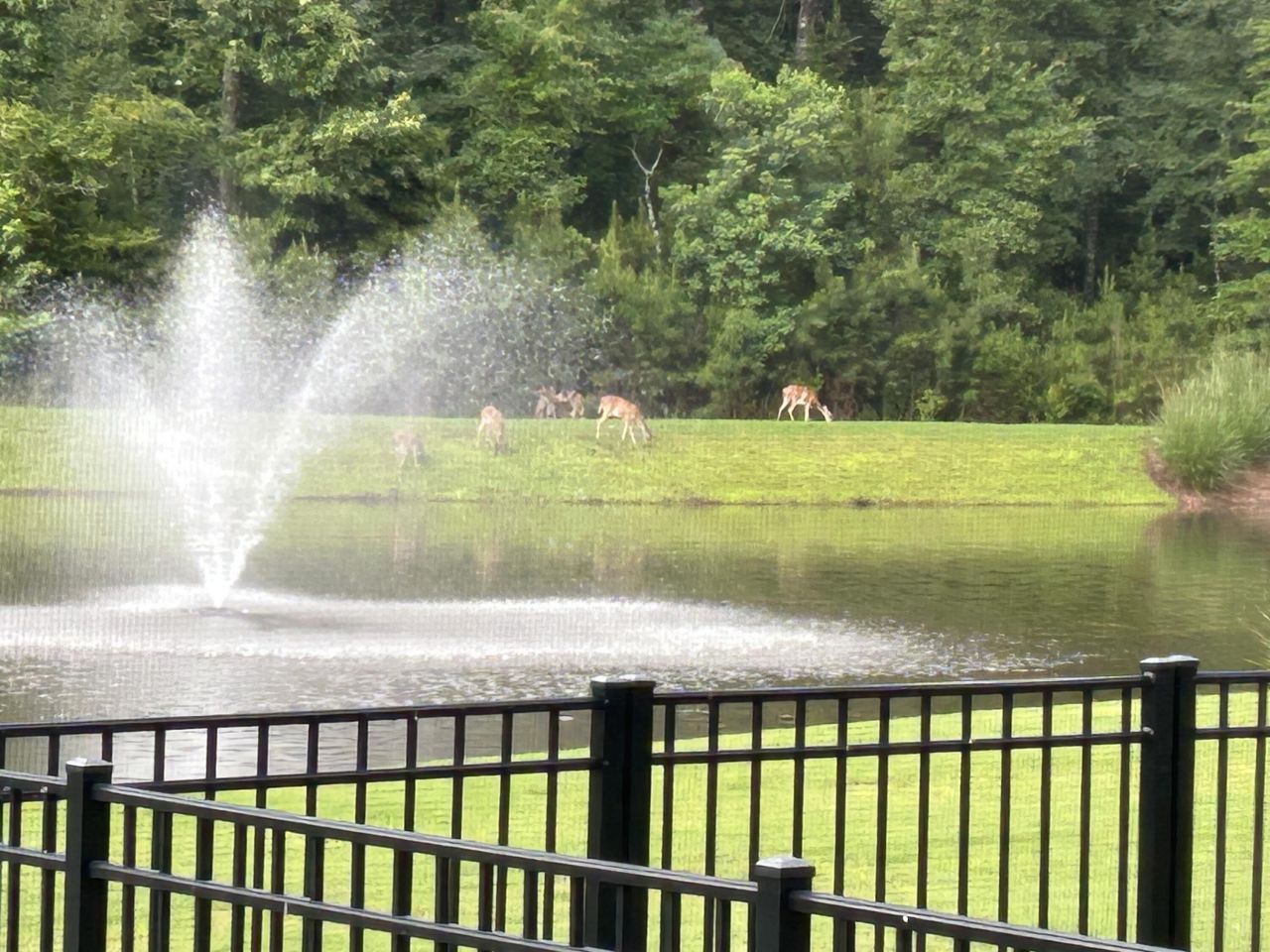 4060 Aspera Drive Photo 45