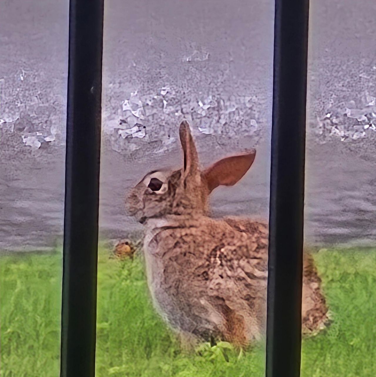 4060 Aspera Drive Photo 46