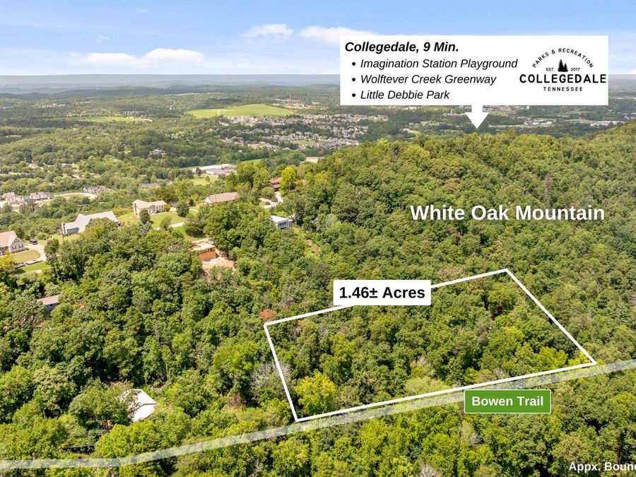 Property Image 6
