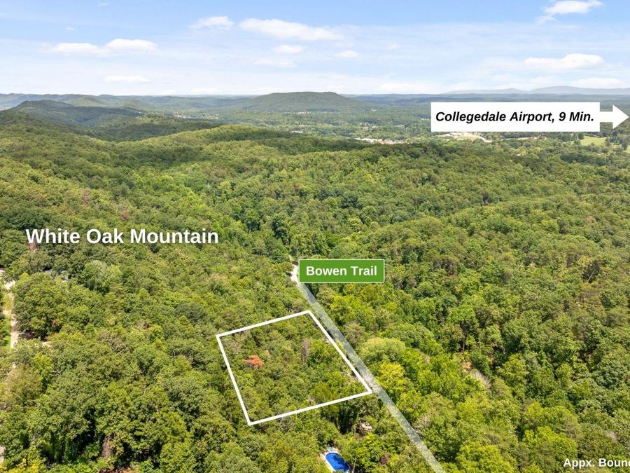 Property Image 9