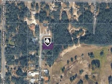 6176 FAIRWAY DRIVE, RIDGE MANOR, FL 33523