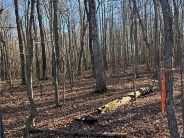 009-0151 Winston Churchill Drive , Hopewell, VA 23860