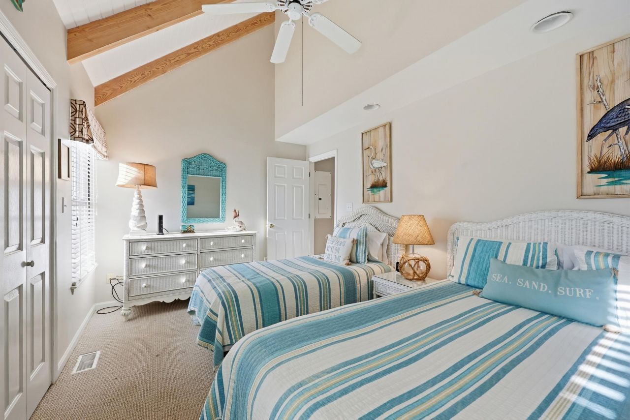 32 Spot Tail At Oystercatcher Photo 11