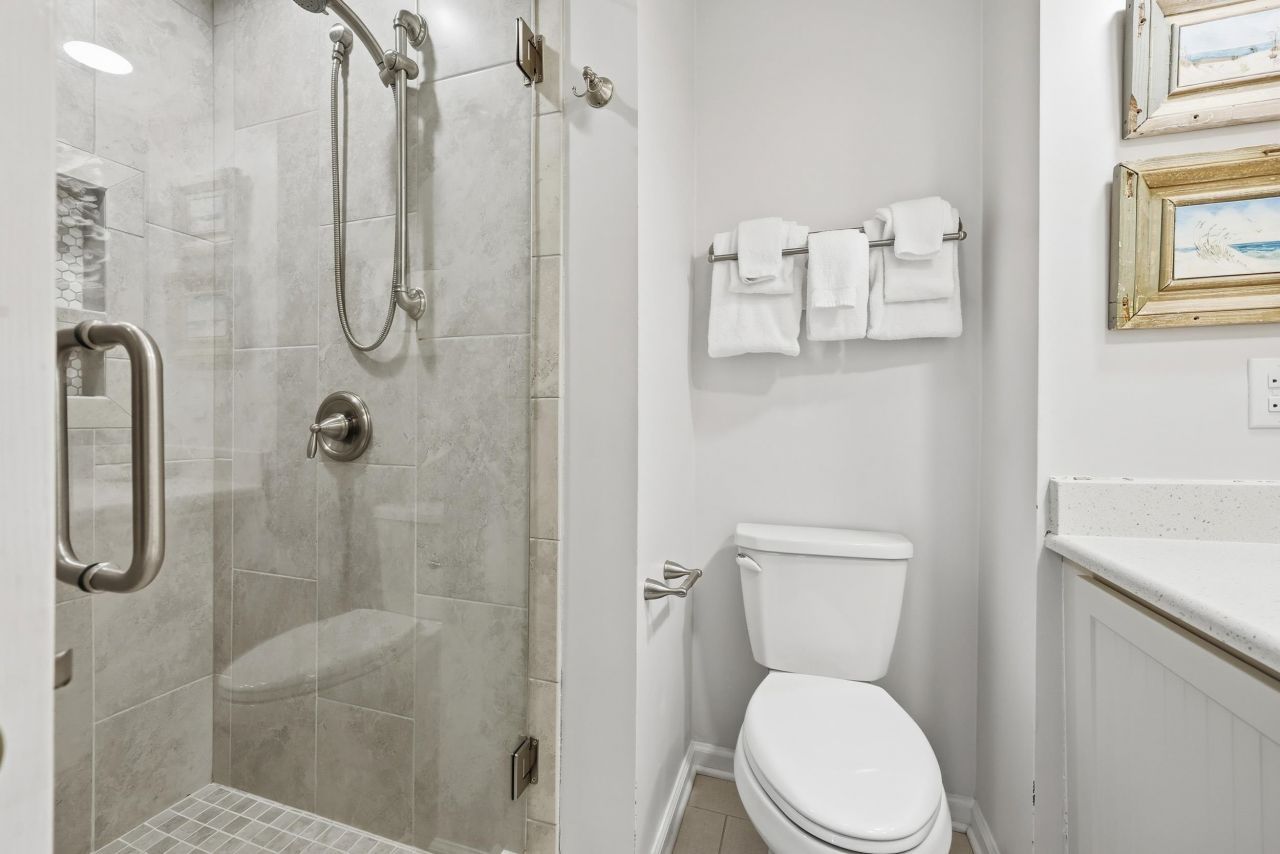 32 Spot Tail At Oystercatcher Photo 12