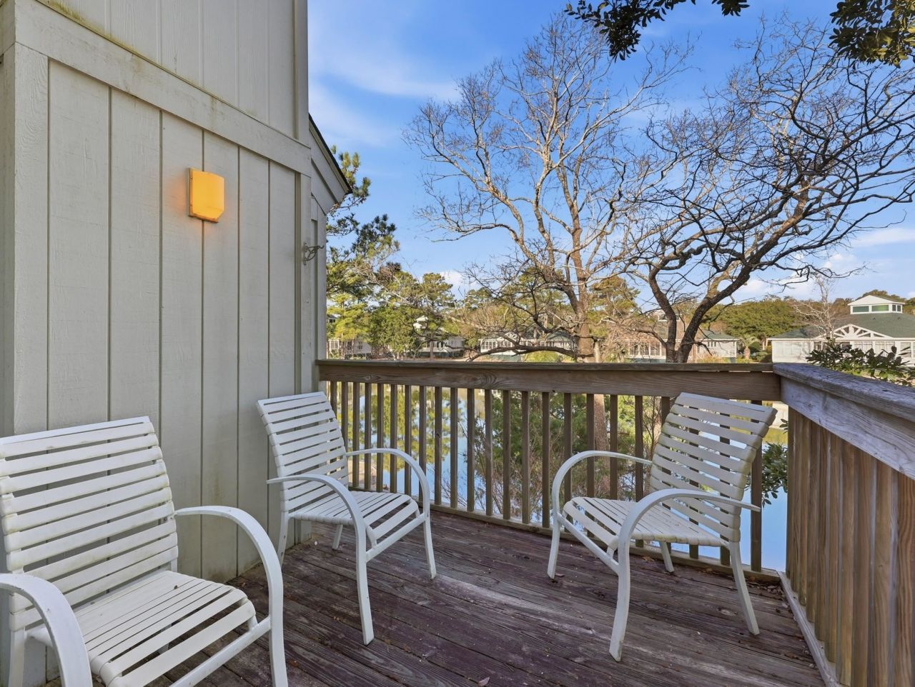 32 Spot Tail At Oystercatcher Photo 17