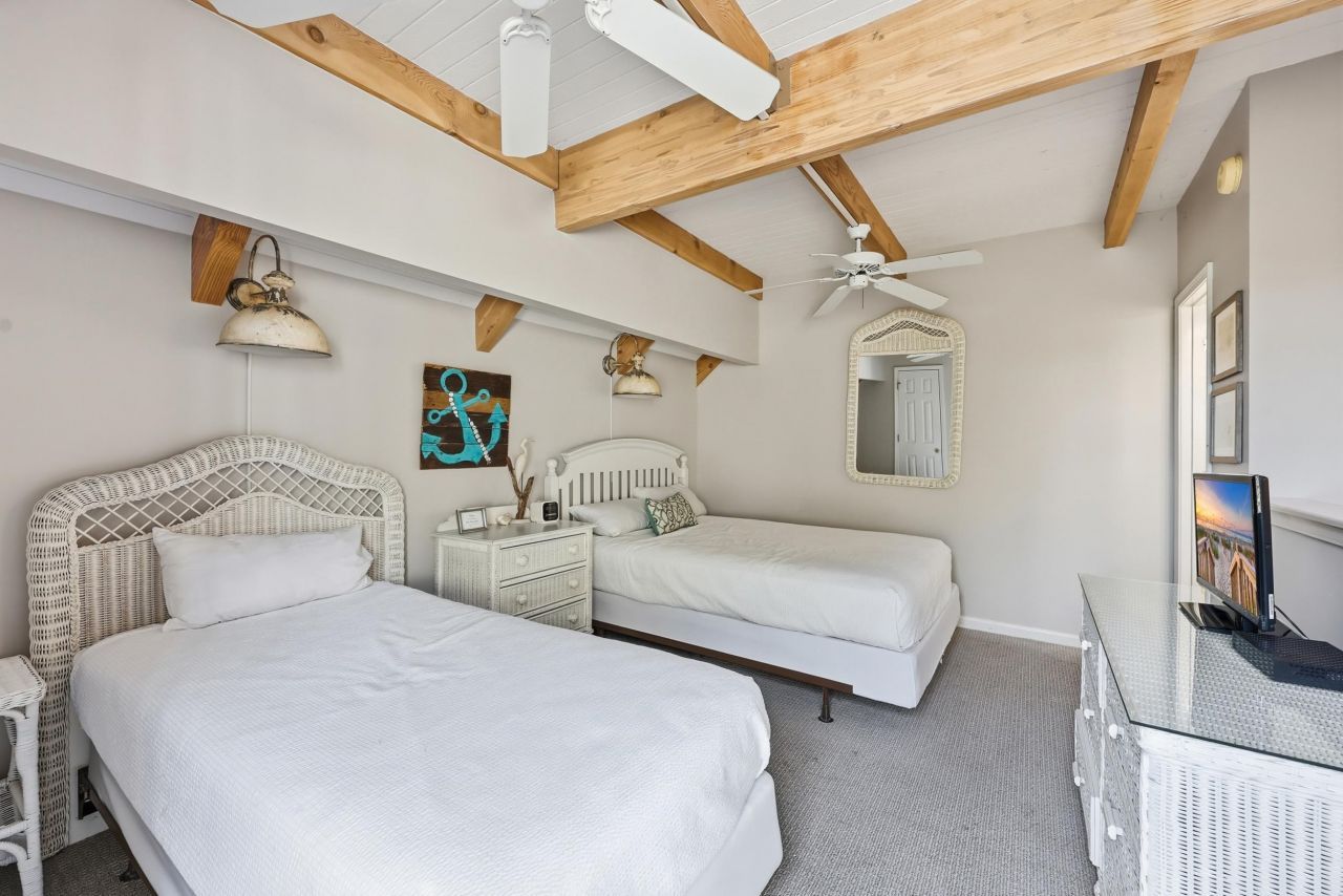 32 Spot Tail At Oystercatcher Photo 19