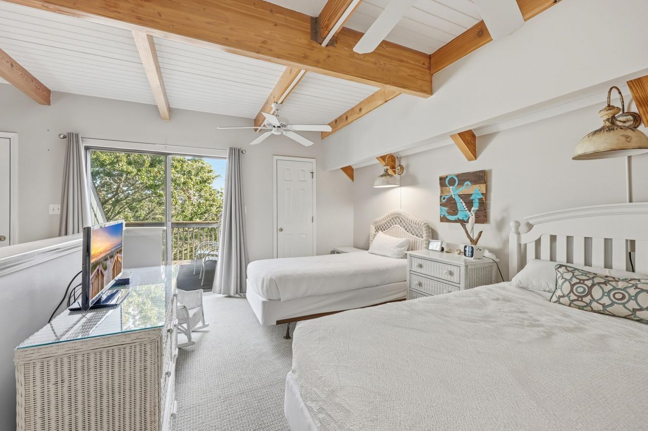 32 Spot Tail At Oystercatcher Photo 20