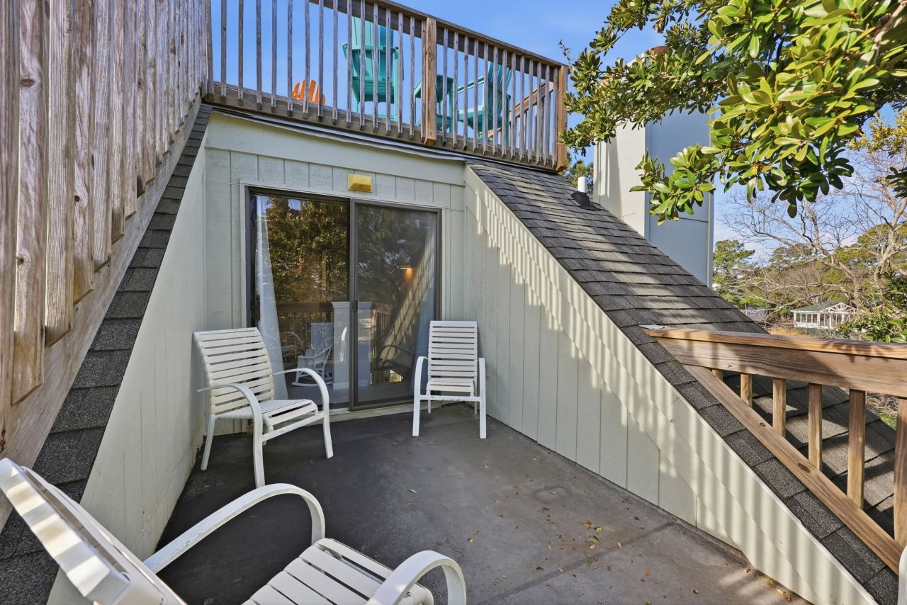 32 Spot Tail At Oystercatcher Photo 22