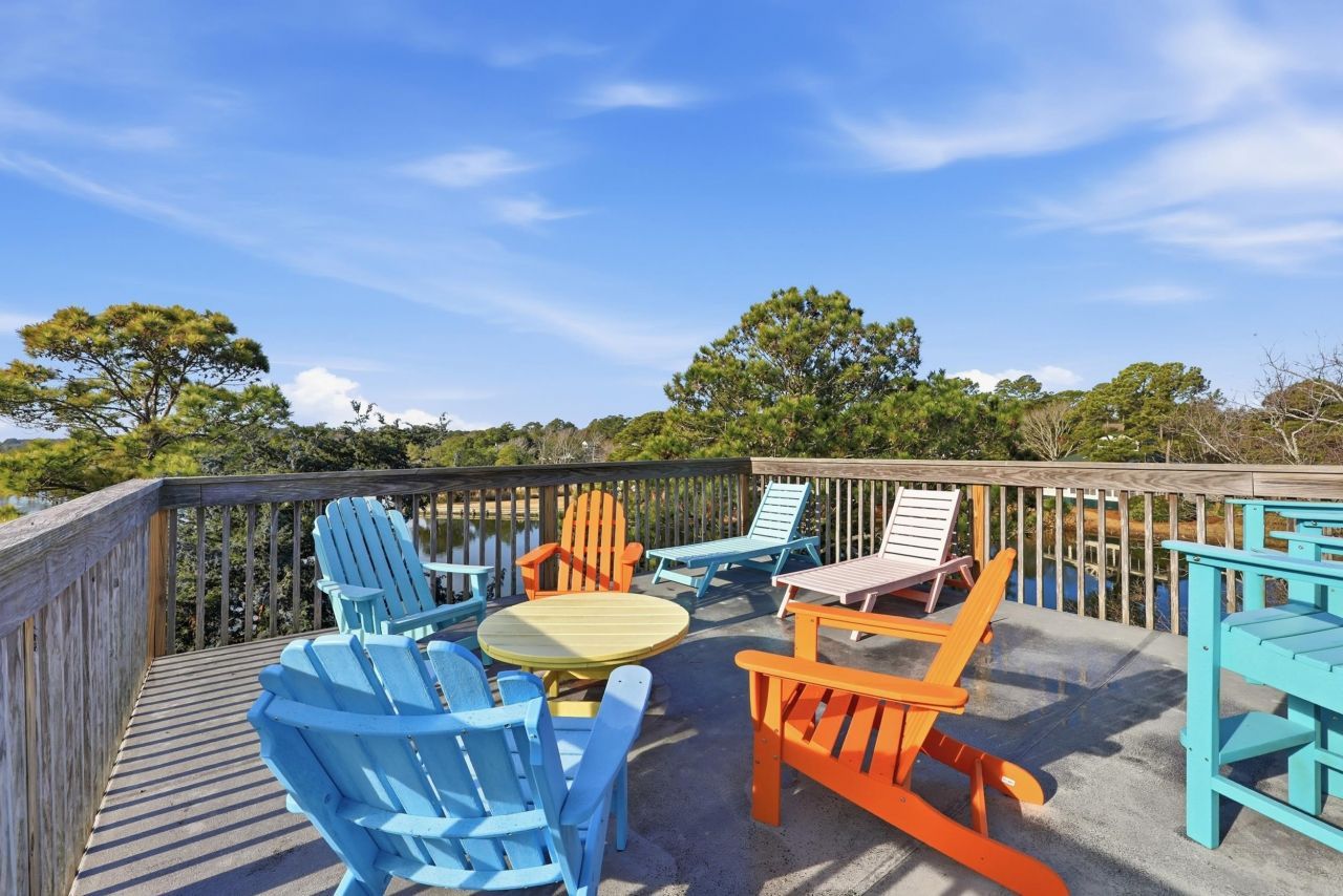 32 Spot Tail At Oystercatcher Photo 23