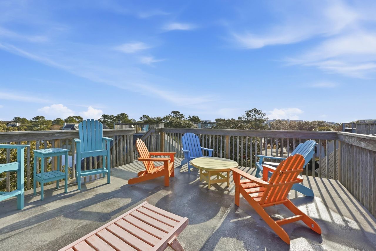 32 Spot Tail At Oystercatcher Photo 24