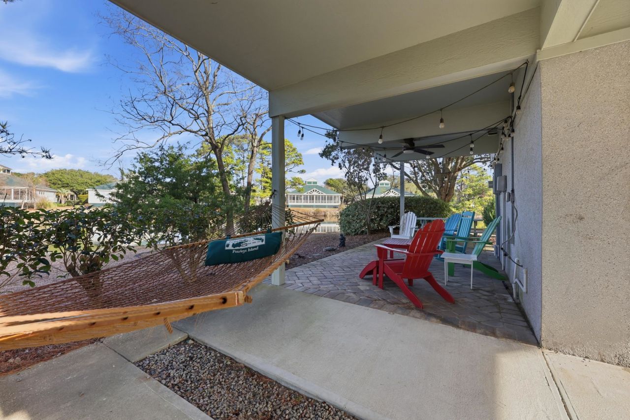 32 Spot Tail At Oystercatcher Photo 25