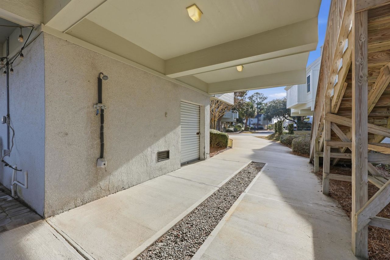 32 Spot Tail At Oystercatcher Photo 26
