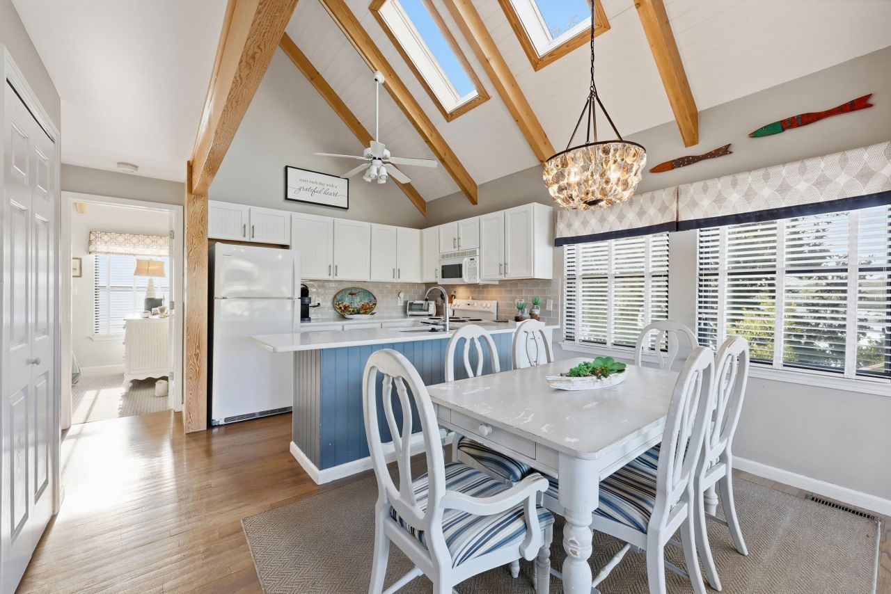 32 Spot Tail At Oystercatcher Photo 8