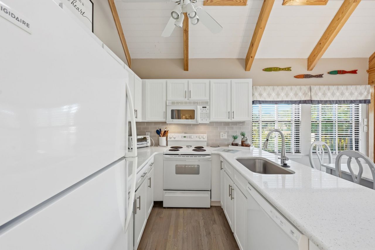 32 Spot Tail At Oystercatcher Photo 9