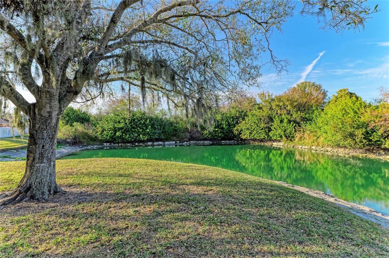 2311 29th Avenue E, Palmetto, FL 34221 Photo