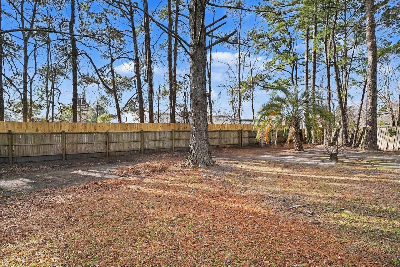 303 Clear Creek Circle Photo 27