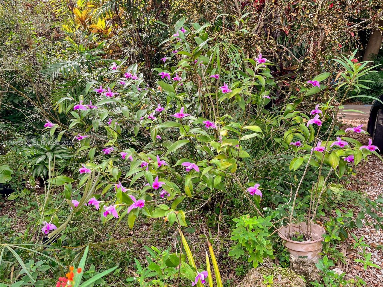 3835 Utopia Ct, Miami, FL 33133 Photo