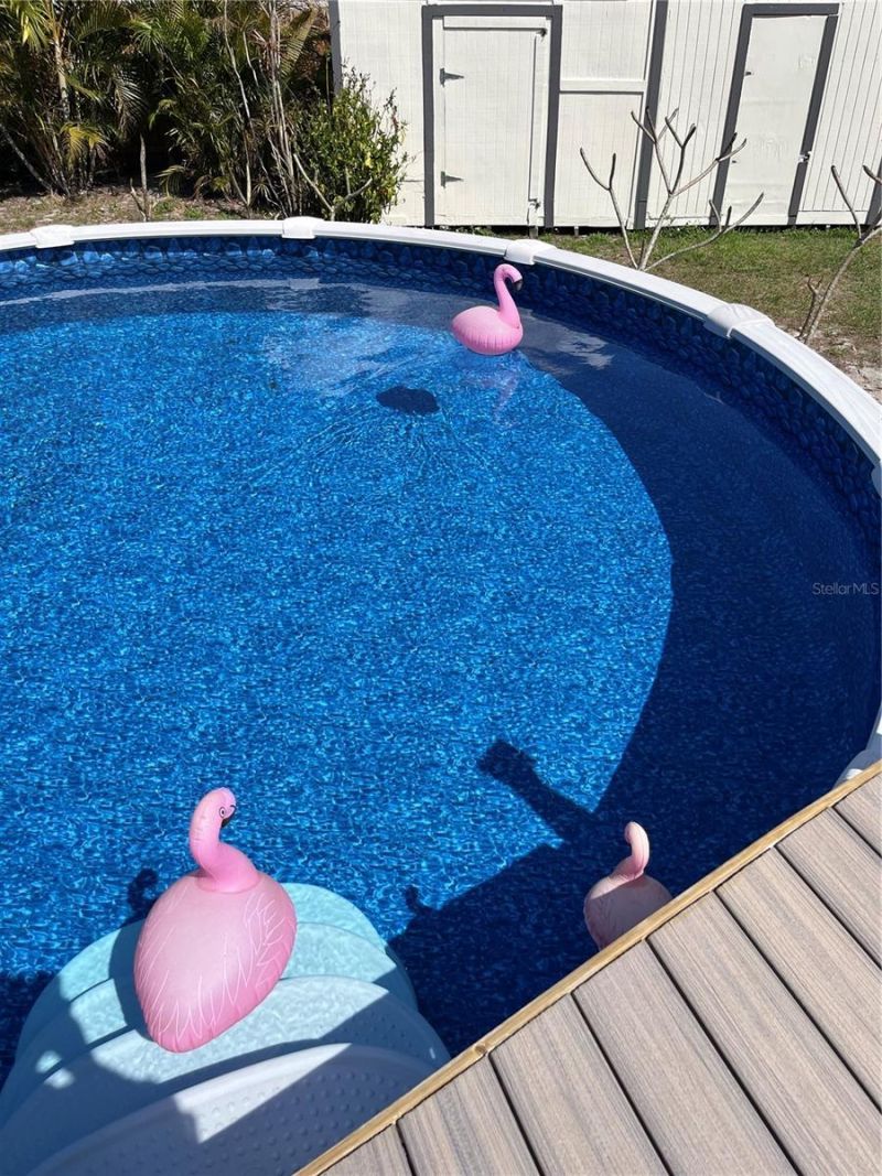 3601 56th Street N, Saint Petersburg, FL 33710 Photo