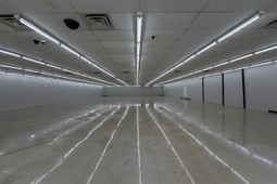 927 Central Avenue photo 4