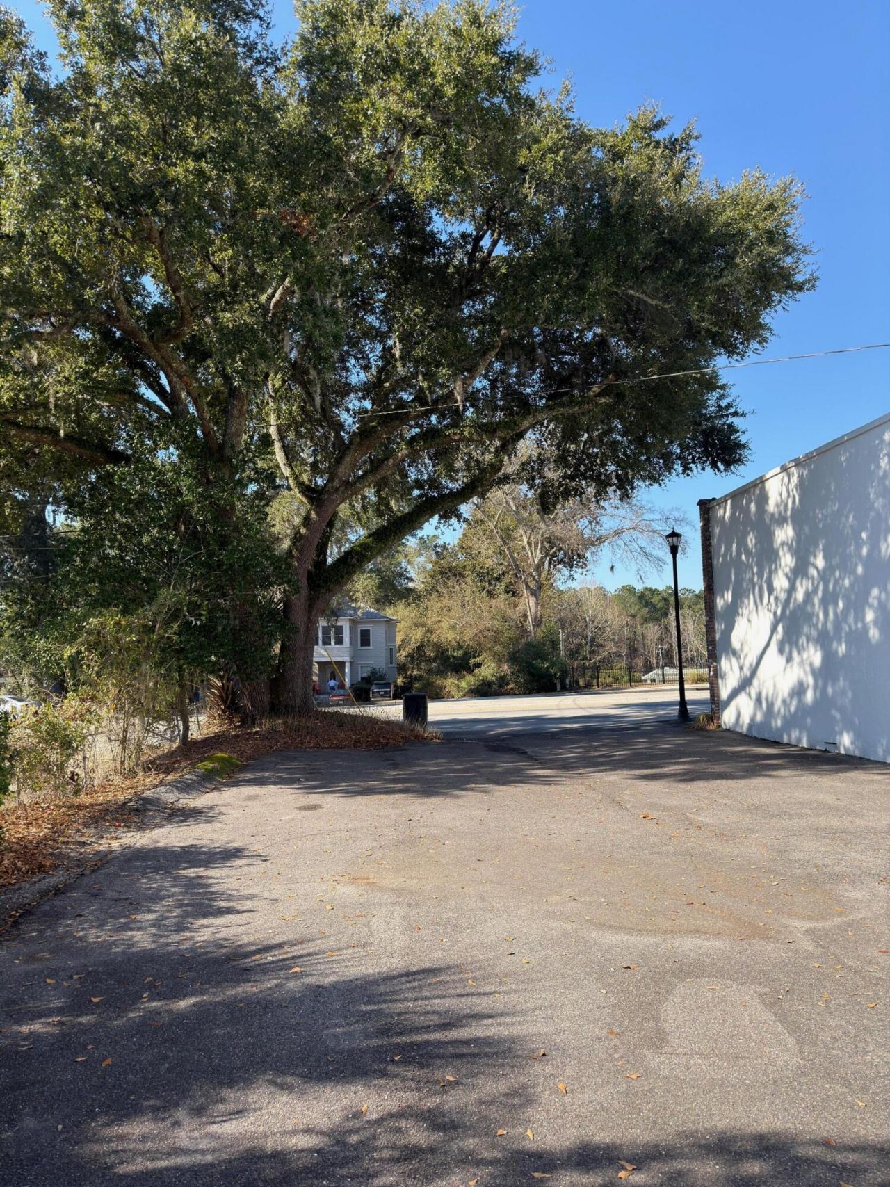 110 S Walter Street  Photo 15