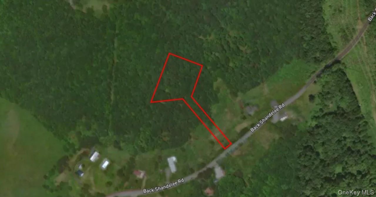 Lot 1 Back Shandelee Road, Livingston Manor, NY 12758 Main Photo