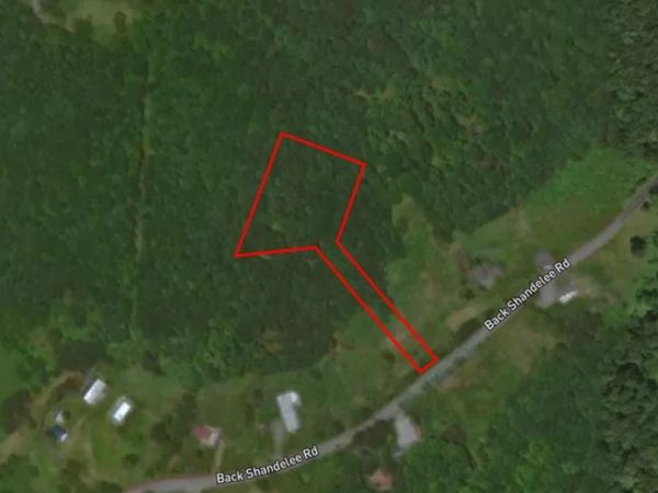 Lot 1 Back Shandelee Road, Livingston Manor, NY 12758