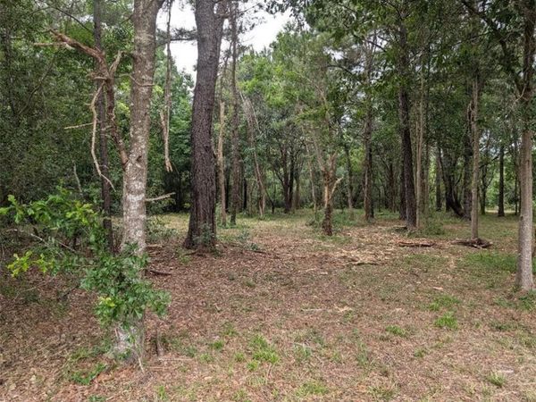 AZALEA Drive, Abita Springs, LA 70420