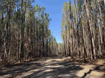 31.40 Acres-TBD Pennyroyal Rd., Georgetown, SC 29440