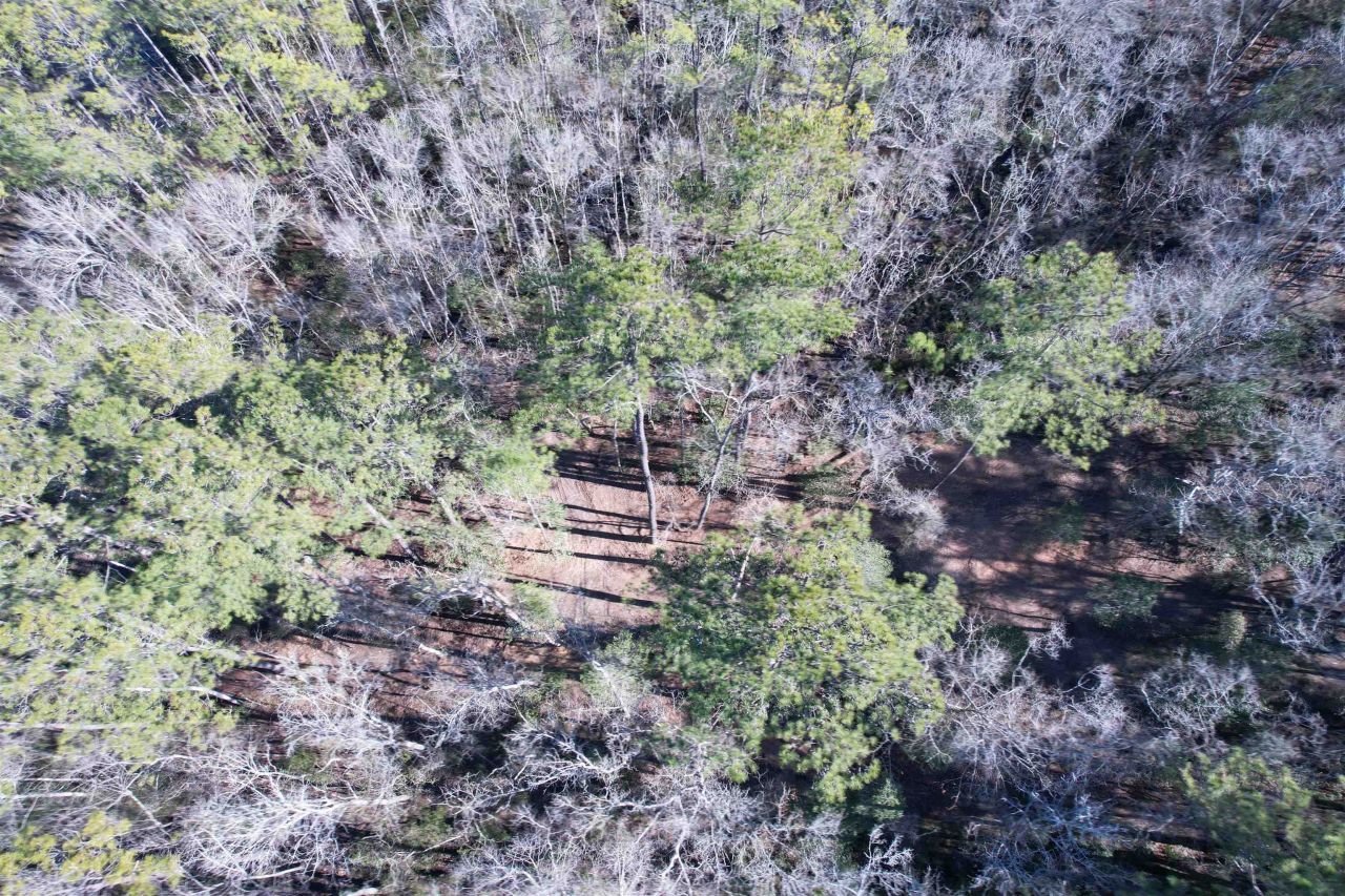 31.40 Acres-tbd Pennyroyal Rd. Photo 16