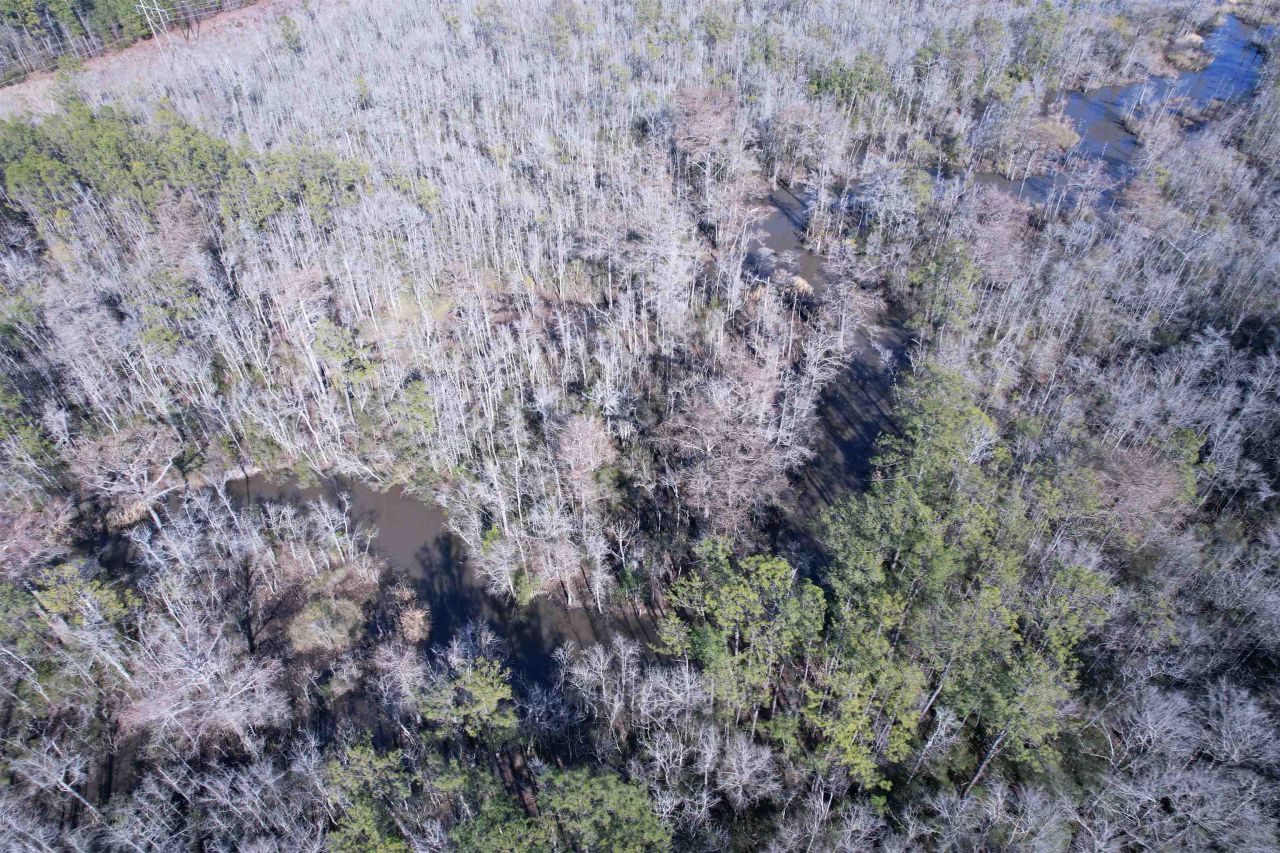 31.40 Acres-tbd Pennyroyal Rd. Photo 17