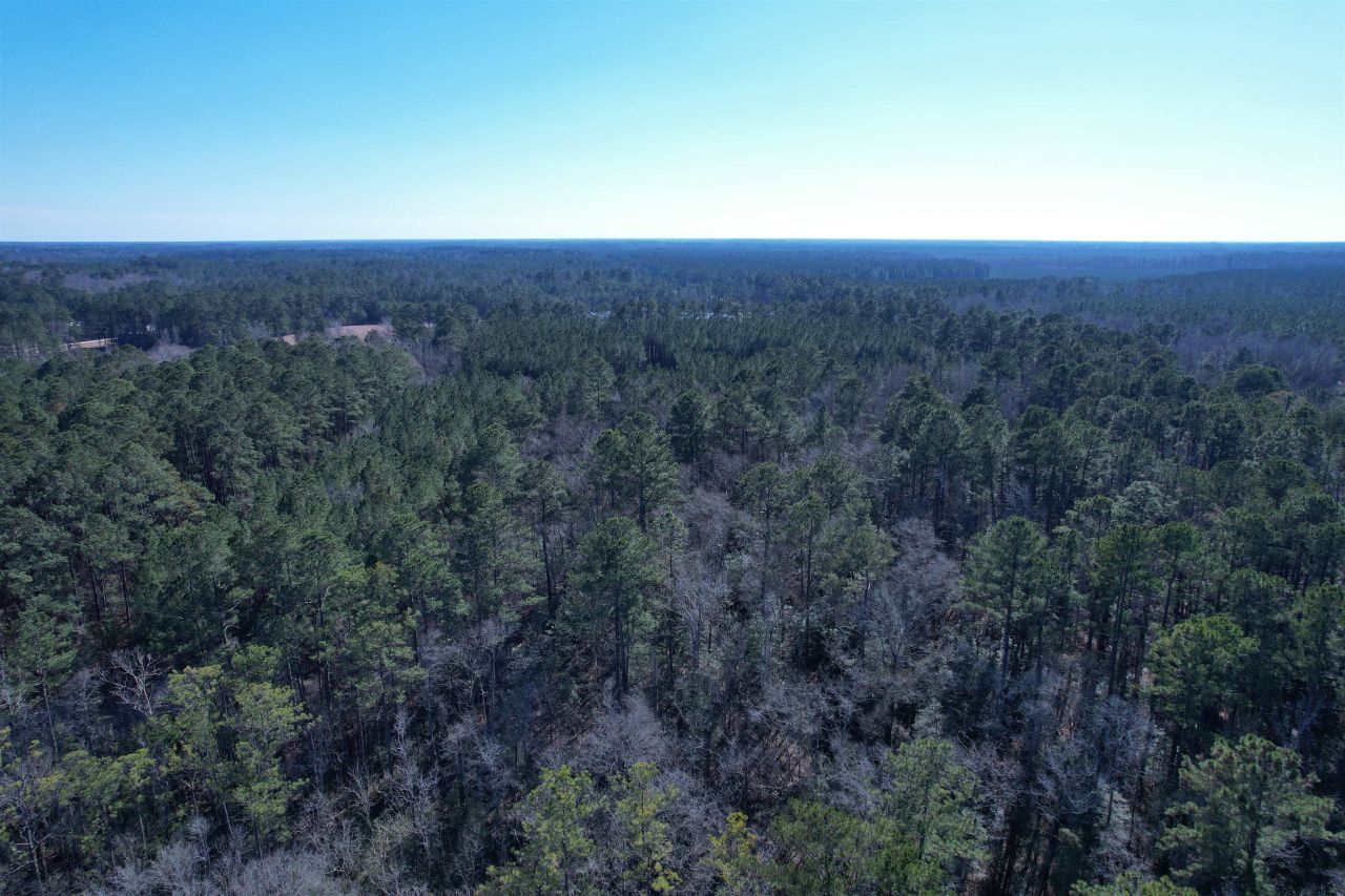 31.40 Acres-tbd Pennyroyal Rd. Photo 19