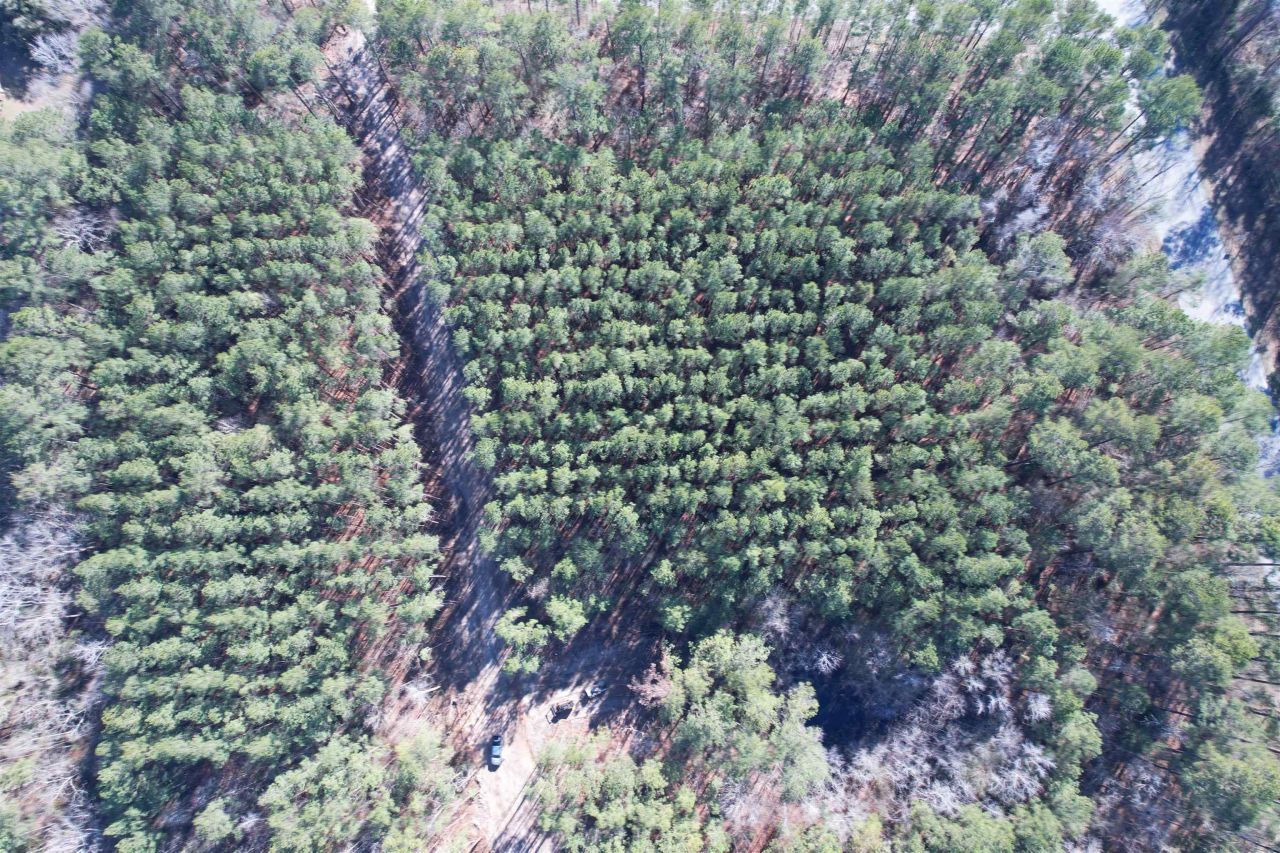 31.40 Acres-tbd Pennyroyal Rd. Photo 21