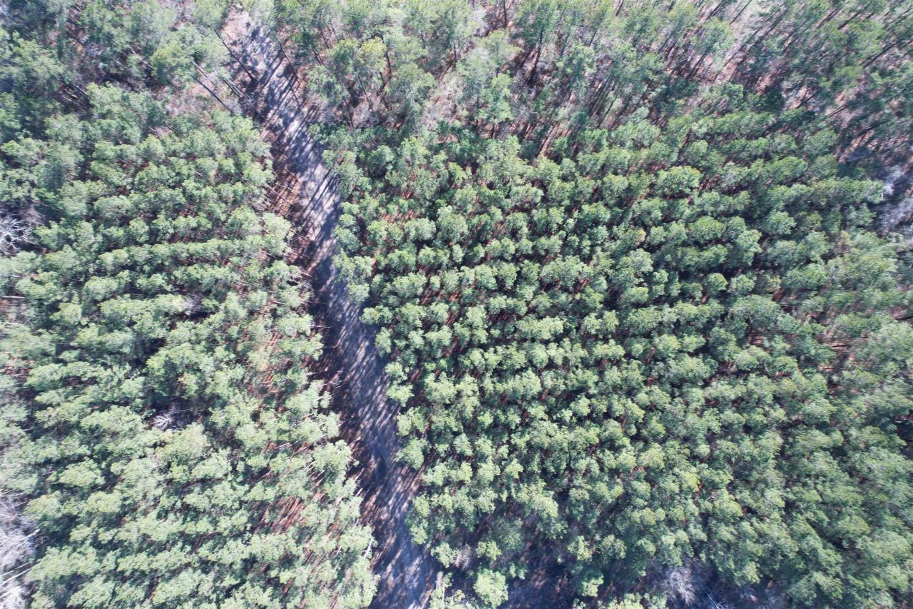 31.40 Acres-tbd Pennyroyal Rd. Photo 22