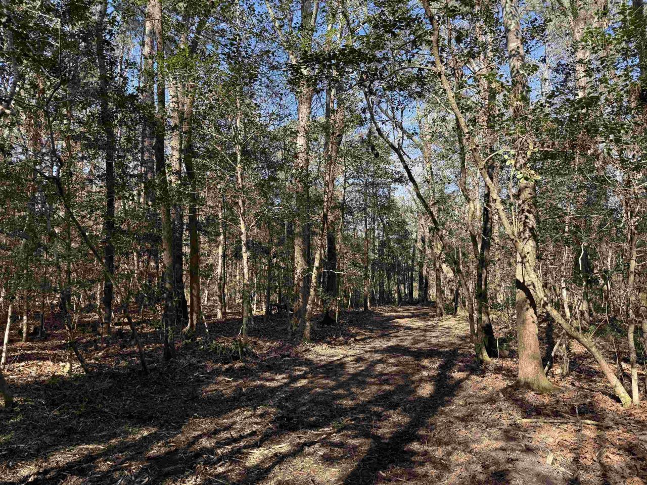 31.40 Acres-tbd Pennyroyal Rd. Photo 24