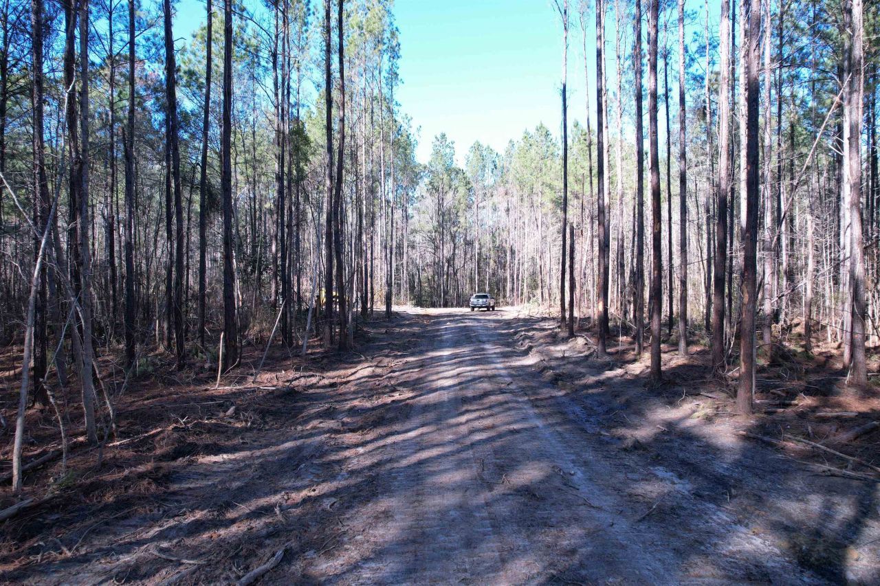 31.40 Acres-tbd Pennyroyal Rd. Photo 26