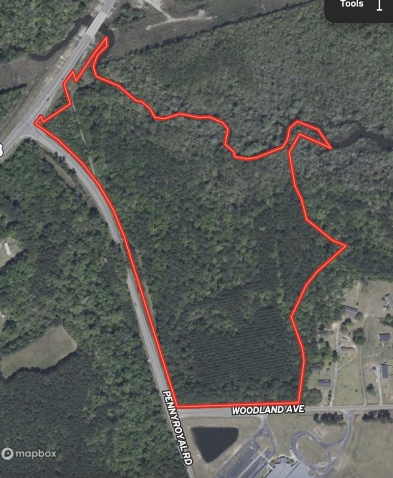 31.40 Acres-tbd Pennyroyal Rd. Photo 27