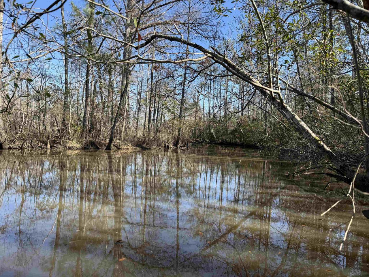 31.40 Acres-tbd Pennyroyal Rd. Photo 7