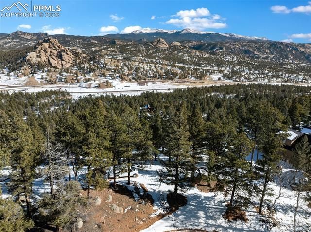 Conifer Circle, Florissant, CO 80816 Main Photo