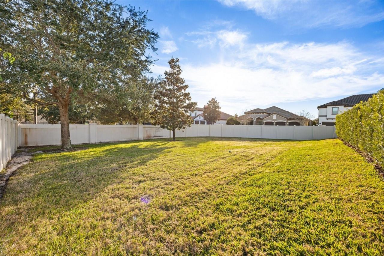 3711 Vinsetta Court, Winter Park, FL 32792 Photo