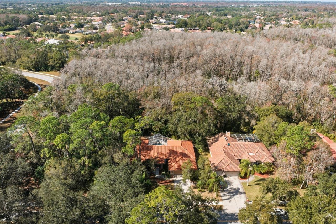 1362 E Lake Woodlands Parkway, Oldsmar, FL 34677 Photo