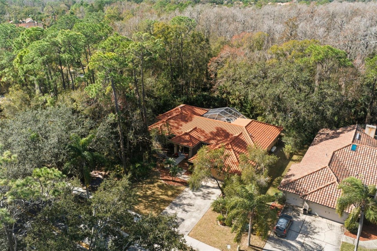 1362 E Lake Woodlands Parkway, Oldsmar, FL 34677 Photo